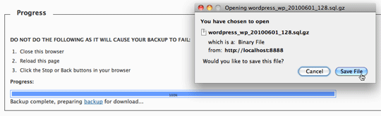 Downloading the backup file