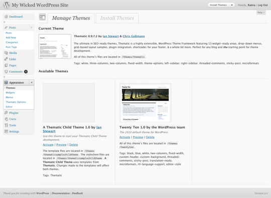 The Manage Themes panel in WordPress 3, showing Twenty Ten and Thematic